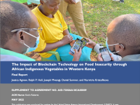 The Impact of Blockchain Technology on Food Insecurity through African Indigenous Vegetables in Western Kenya Final Report