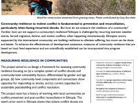 A Systems, Networks, and Human-Centered Design Approach to Assessing the Resilience of Ethiopian Communities Experiencing Recurring Violent Conflict Shocks
