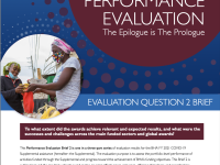 COVID-19 Performance Evaluation Brief 2