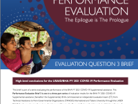 COVID-19 Performance Evaluation Brief 3